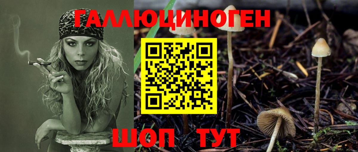Галлюциногенные грибы Psilocybe  Псилоцибиновые грибы ЛСД  Вход с VPN  Похвистнево 